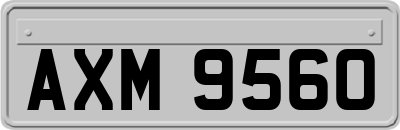 AXM9560