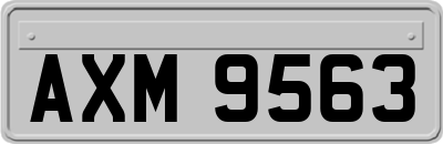 AXM9563