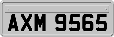AXM9565