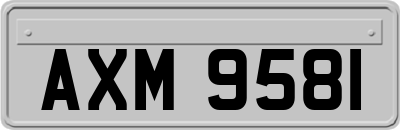 AXM9581