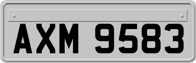 AXM9583