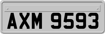 AXM9593