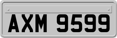 AXM9599