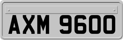 AXM9600
