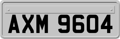AXM9604