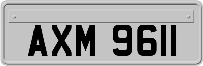 AXM9611