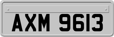 AXM9613