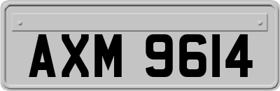 AXM9614