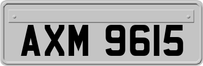 AXM9615
