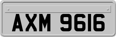 AXM9616