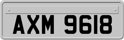 AXM9618