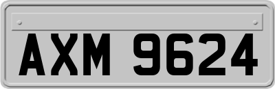 AXM9624