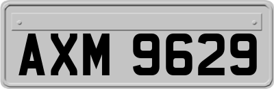AXM9629