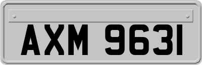 AXM9631