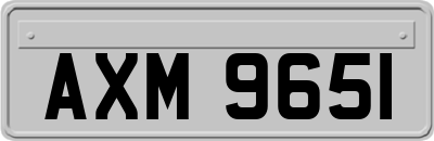 AXM9651