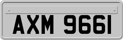 AXM9661
