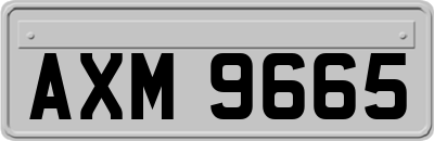 AXM9665