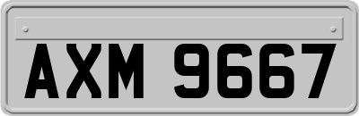 AXM9667