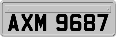 AXM9687