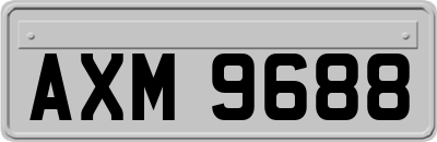 AXM9688