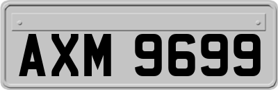 AXM9699