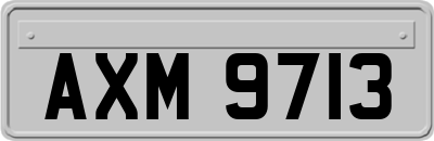AXM9713