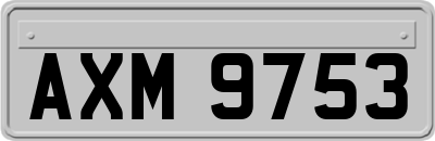 AXM9753