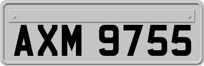 AXM9755