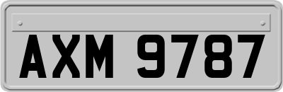 AXM9787