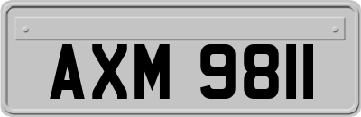 AXM9811