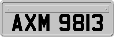 AXM9813