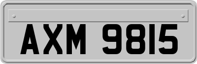 AXM9815