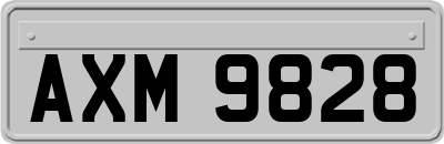 AXM9828