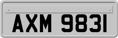 AXM9831