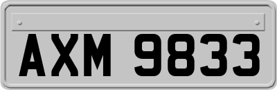 AXM9833