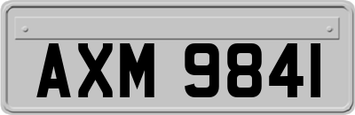 AXM9841