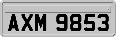AXM9853