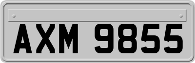 AXM9855