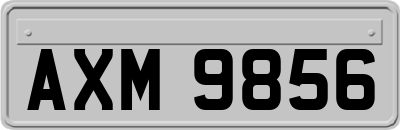 AXM9856
