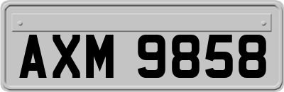AXM9858