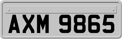 AXM9865