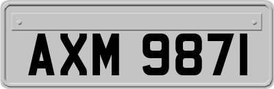 AXM9871