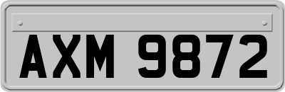 AXM9872