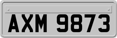 AXM9873