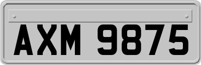 AXM9875