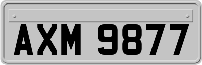 AXM9877