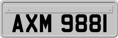 AXM9881