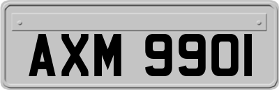 AXM9901