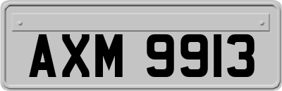 AXM9913