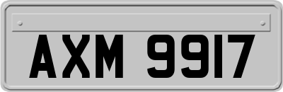 AXM9917